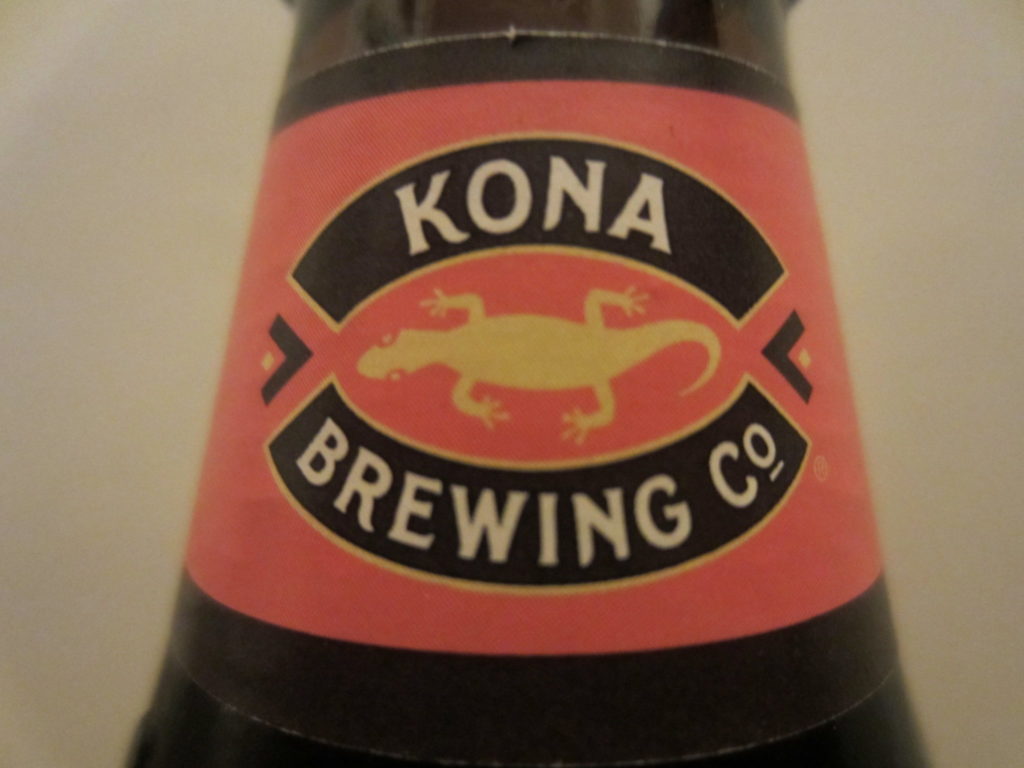 Featured image for “Review: Kona Pipeline Porter”