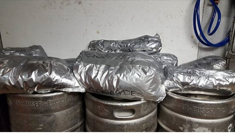 Featured image for “Goose Island Clybourn Gives Away 62 lbs of Hops Ahead of Temporary Closing”
